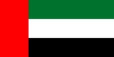 UAE flag